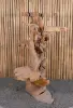 Product image 2 of the product “Shelf made of teak wood about approx. 140cm height ”